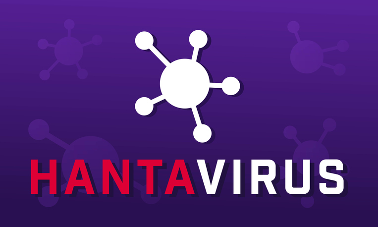 Hantavirus. Graphic with text and virus structure on purple background. Public health concerns.