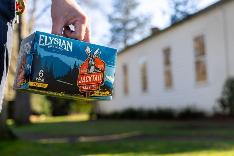 A hand holding a 6-pack of Elysian Jacktail Hazy IPA beer against a blurred background of a building.