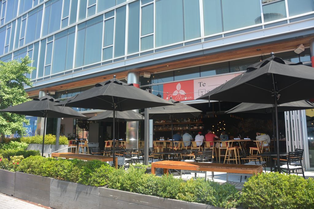 Outdoor patio seating area with black umbrellas and wooden tables and chairs, surrounded by greenery, in front of a modern glass building.