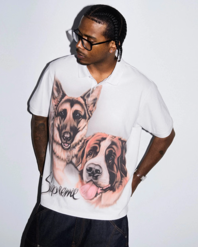 A person wearing a white t-shirt with a graphic design of two dogs on it, standing against a plain background.